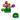 Bloom with Joy Balloon Arrangement