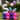 Have a Magical Day Balloon Arrangement