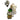 Bubble Pop Custom Name Birthday Balloon Arrangement