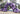 Mega Organic Balloon Arch