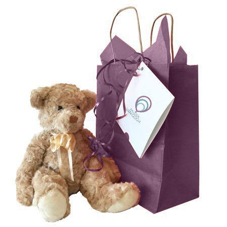 Teddy Bear in a Gift Bag